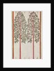 Trees by American School