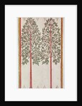 Trees by American School