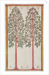 Trees by American School