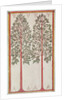 Trees by American School