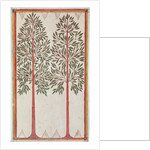 Trees by American School