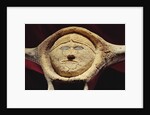 Janus Head by School Inuit