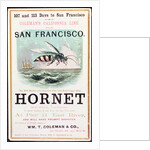 Poster advertising the 'Hornet' clipper ship from New York to San Francisco by American School