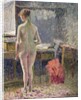 Female Nude seen from the Back, 1895 by Camille Pissarro