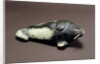 Walrus, from Cape Dorset by School Inuit
