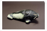Walrus, from Cape Dorset by School Inuit