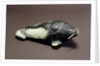 Walrus, from Cape Dorset by School Inuit