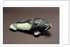 Walrus, from Cape Dorset by School Inuit