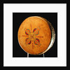 Osage drum by School American