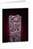 Haida Raven totem by School Canadian