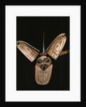 Kwakiutl transformation mask by American School