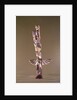 Tinglit Bird Clan totem pole by American School