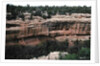 Remains of Pueblo Indian cliff dwellings, built 11th-14th century by Anonymous