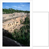 Pueblo Indian cliff dwellings, built 11th-14th century by Anonymous