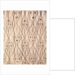 Sheer cloth with jaguar faces, Paracas tribe by Pre-Columbian Pre-Columbian