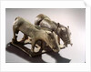 Ordos Nomads by School Chinese