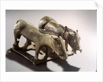 Ordos Nomads by School Chinese