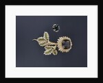 Brooch and ring by Anonymous