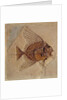 Fish by Prehistoric Prehistoric