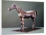 Standing Horse by Edgar Degas