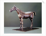 Standing Horse by Edgar Degas