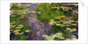 Waterlilies, c.1910s by Claude Monet