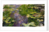 Waterlilies, c.1910s by Claude Monet