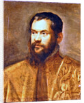 Portrait of a Man by Domenico Robusti Tintoretto