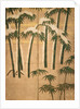 Bamboo, Momoyama Period by School Japanese