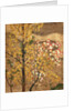 Autumn Tree by Japanese School