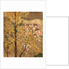 Autumn Tree by Japanese School