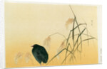 Blackbird, Edo Period by Japanese School