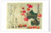 Autumn Ivy, c.1735 by Ogata Kenzan