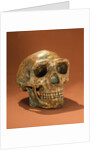 Peking Man's reconstructed skull, Cave Choukou'tien by School Chinese