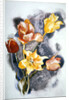 Bouquet, c.1923 by Charles Demuth
