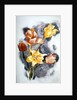 Bouquet, c.1923 by Charles Demuth