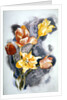 Bouquet, c.1923 by Charles Demuth