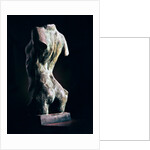 Torso of a Young Woman, 1909 by Auguste Rodin