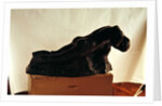 The Earth by Auguste Rodin