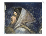 Head of a shepherd by Giotto