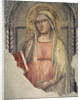 Madonna del Parto by Taddeo Gaddi