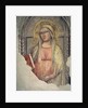 Madonna del Parto by Taddeo Gaddi
