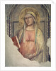Madonna del Parto by Taddeo Gaddi