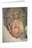 Madonna del Parto by Taddeo Gaddi