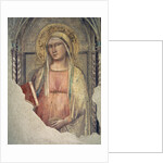 Madonna del Parto by Taddeo Gaddi