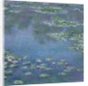 Water Lilies, 1906 by Claude Monet