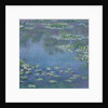 Water Lilies, 1906 by Claude Monet
