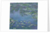 Water Lilies, 1906 by Claude Monet