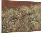 Thistles, 1885-89 by John Singer Sargent