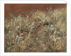 Thistles, 1885-89 by John Singer Sargent